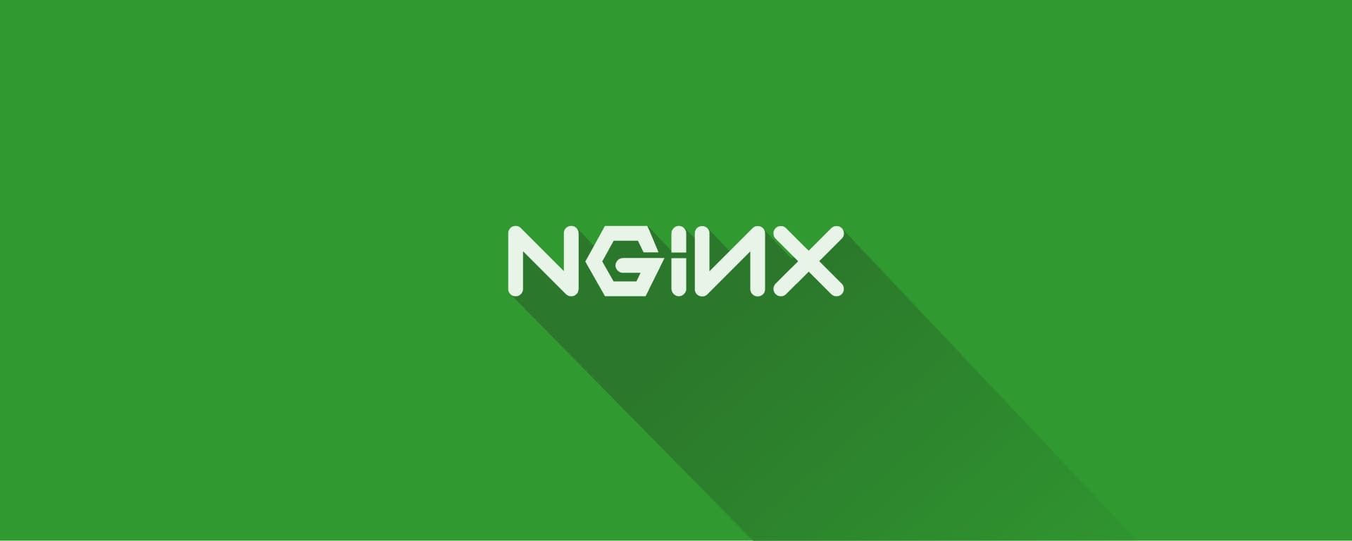 nginx tshirt